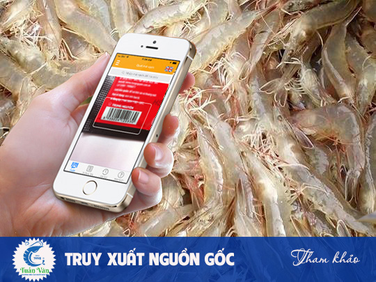 THỰC HIỆN TRUY XUẤT NGUỒN GỐC TÔM GIỐNG