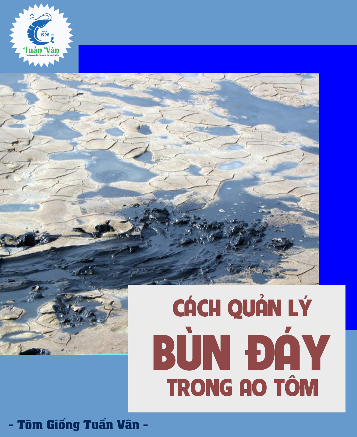 CÁCH QUẢN LÝ BÙN ĐÁY TRONG AO TÔM
