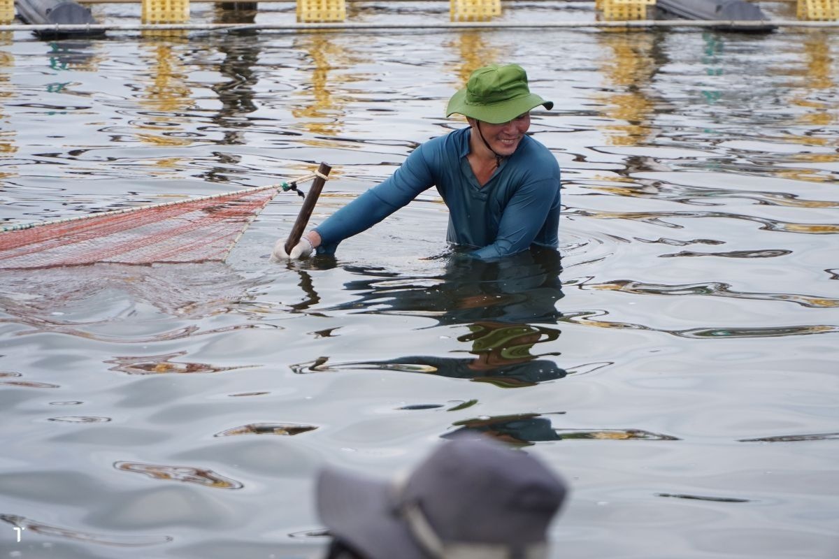 Biện pháp đảm bảo an toàn cho ao nuôi tôm trong dịp Tết Nguyên Đán