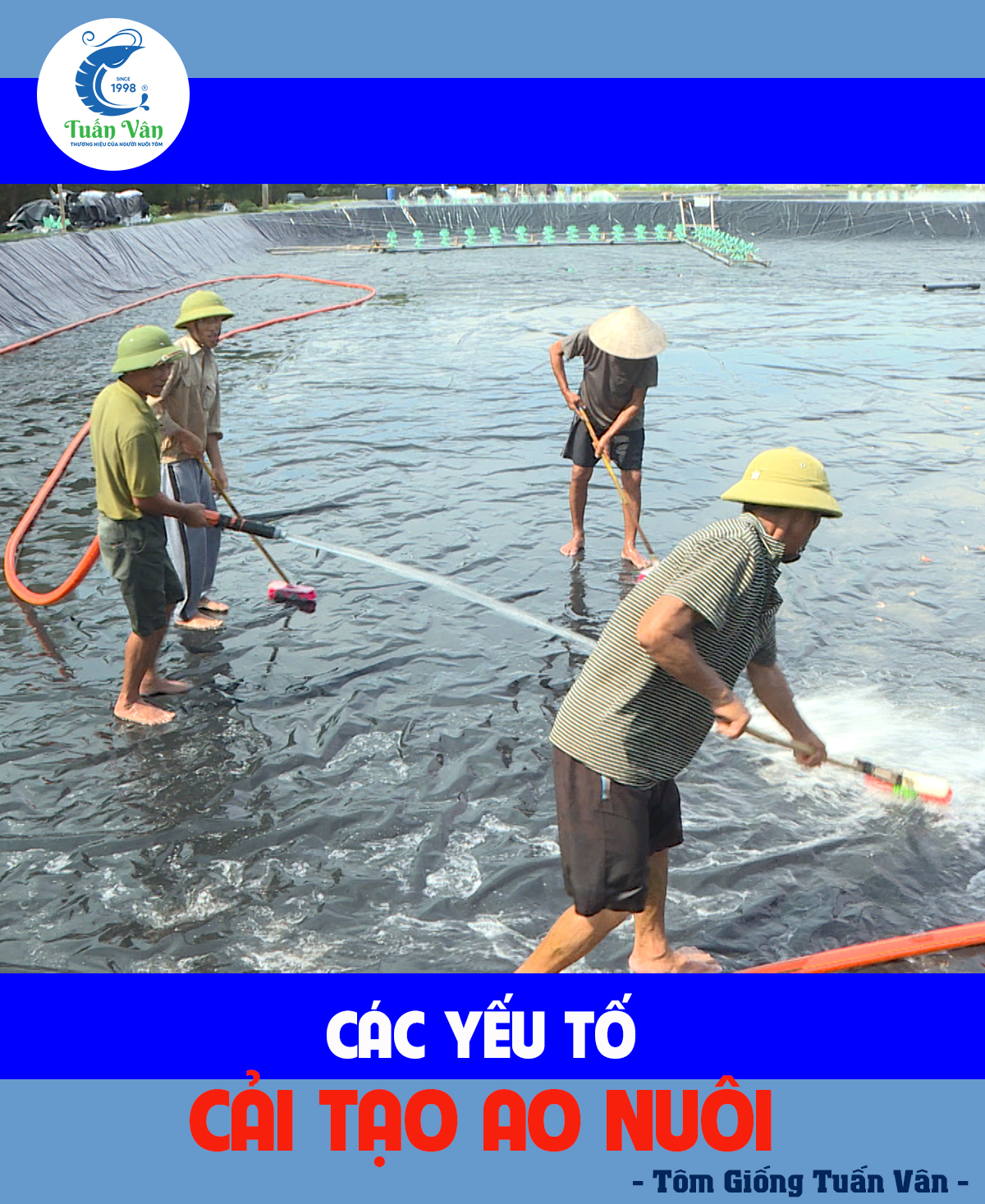 CÁC YẾU TỐ CẢI TẠO AO NUÔI TÔM
