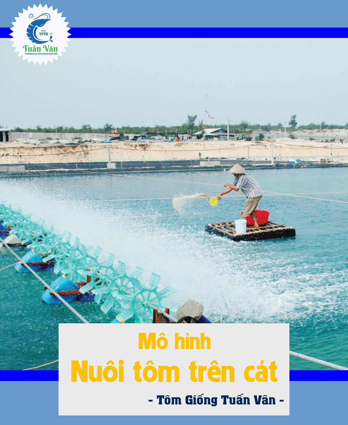 QUY TRÌNH NUÔI TÔM THẺ CHÂN TRẮNG TRONG AO CÁT