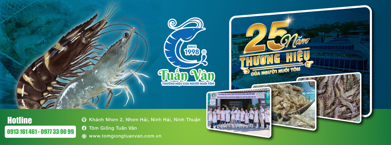 TÔM GIỐNG TUẤN VÂN 25 NĂM THÀNH LẬP