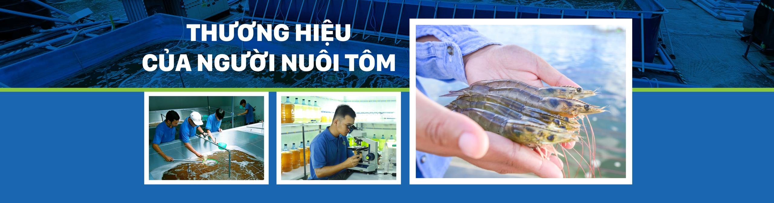 THƯƠNG HIỆU CỦA NGƯỜI NUÔI TÔM